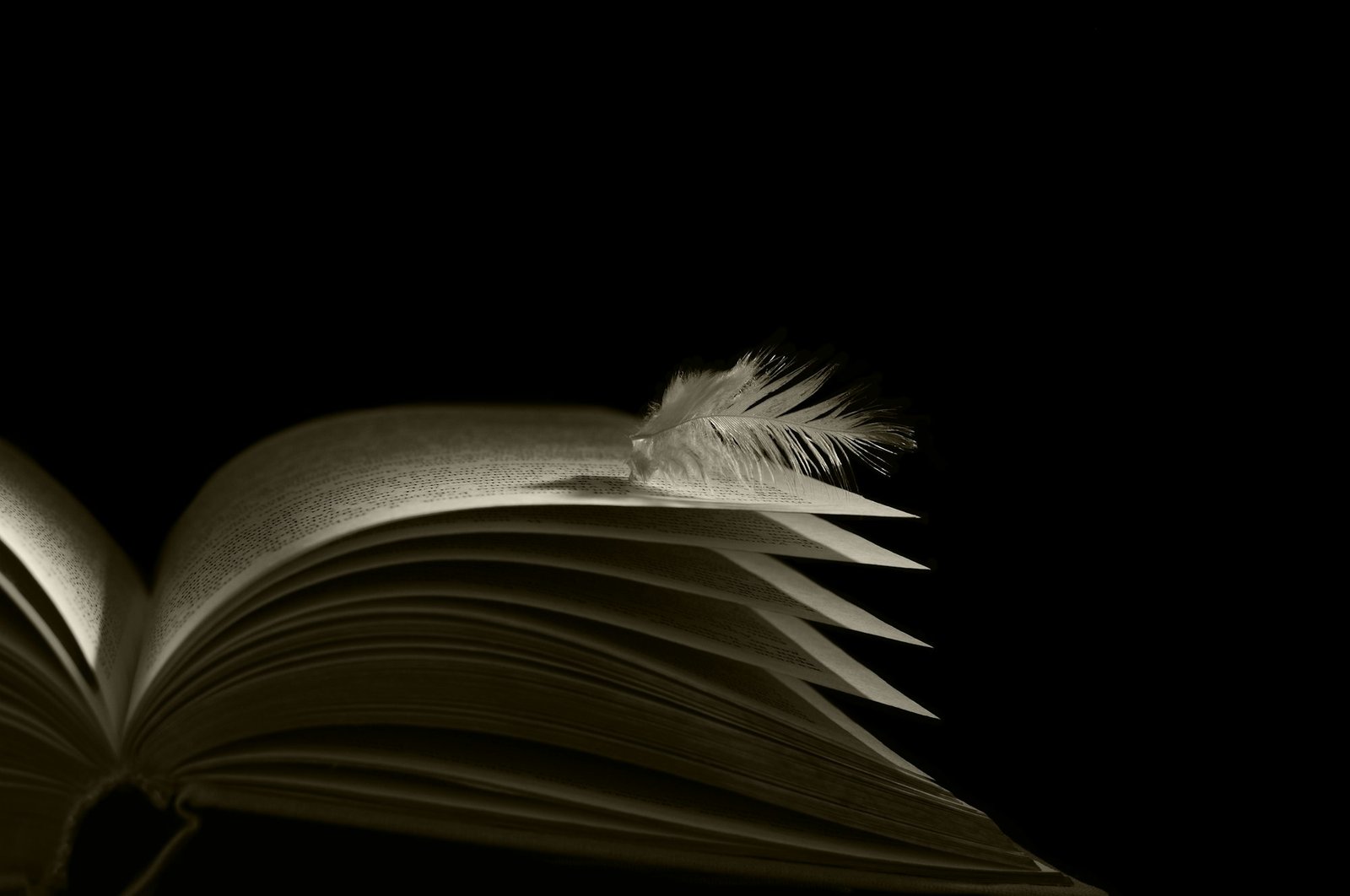 book angel( skrezhal)